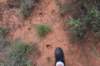 dsc_0010_fs_small.jpg