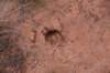 dsc_0011_fs_small.jpg