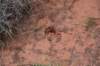 dsc_0012_fs_small.jpg