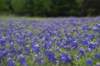 dsc_0023_fs_small.jpg