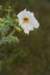 dsc_0025_fs_small.jpg