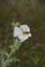 dsc_0026_fs_small.jpg