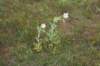 dsc_0027_fs_small.jpg