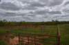 dsc_0029_fs_small.jpg