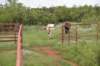 dsc_0031_fs_small.jpg
