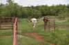 dsc_0032_fs_small.jpg