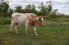 dsc_0033_fs_small.jpg