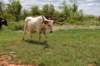 dsc_0035_fs_small.jpg