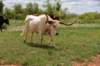 dsc_0036_fs_small.jpg