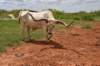 dsc_0037_fs_small.jpg