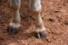 dsc_0039_fs_small.jpg