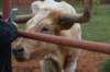 dsc_0040_fs_small.jpg
