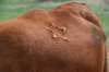 dsc_0042_fs_small.jpg