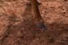 dsc_0049_fs_small.jpg