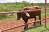 dsc_0055_fs_small.jpg