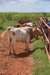dsc_0057_fs_small.jpg