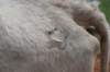 dsc_0064_fs_small.jpg