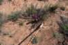 dsc_0102_fs_small.jpg