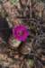 dsc_0103_fs_small.jpg