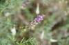 dsc_0105_fs_small.jpg