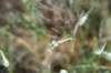 dsc_0106_fs_small.jpg