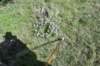 dsc_0107_fs_small.jpg