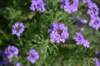 dsc_0108_fs_small.jpg