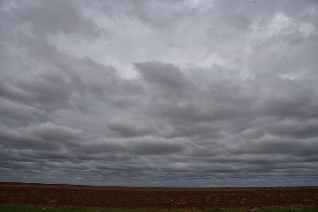 dsc_9869_fs.jpg