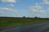 dsc_9915crowelltexas_small.jpg