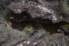 dsc_9994_fs_small.jpg