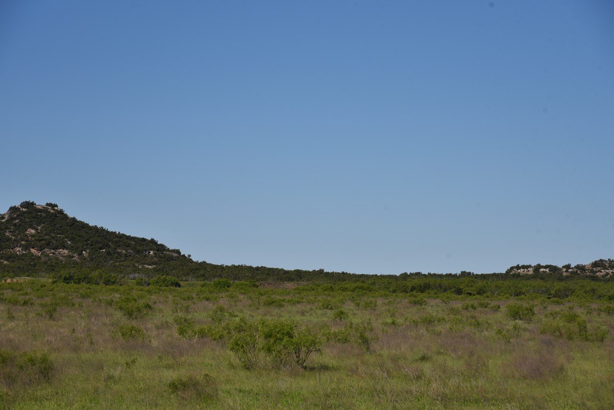 dsc_0131_fs.jpg