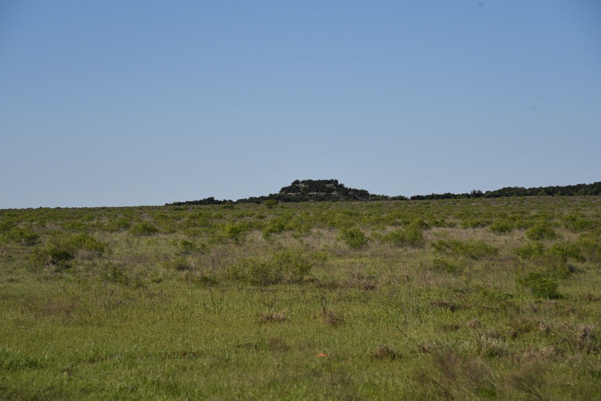 dsc_0138_fs.jpg