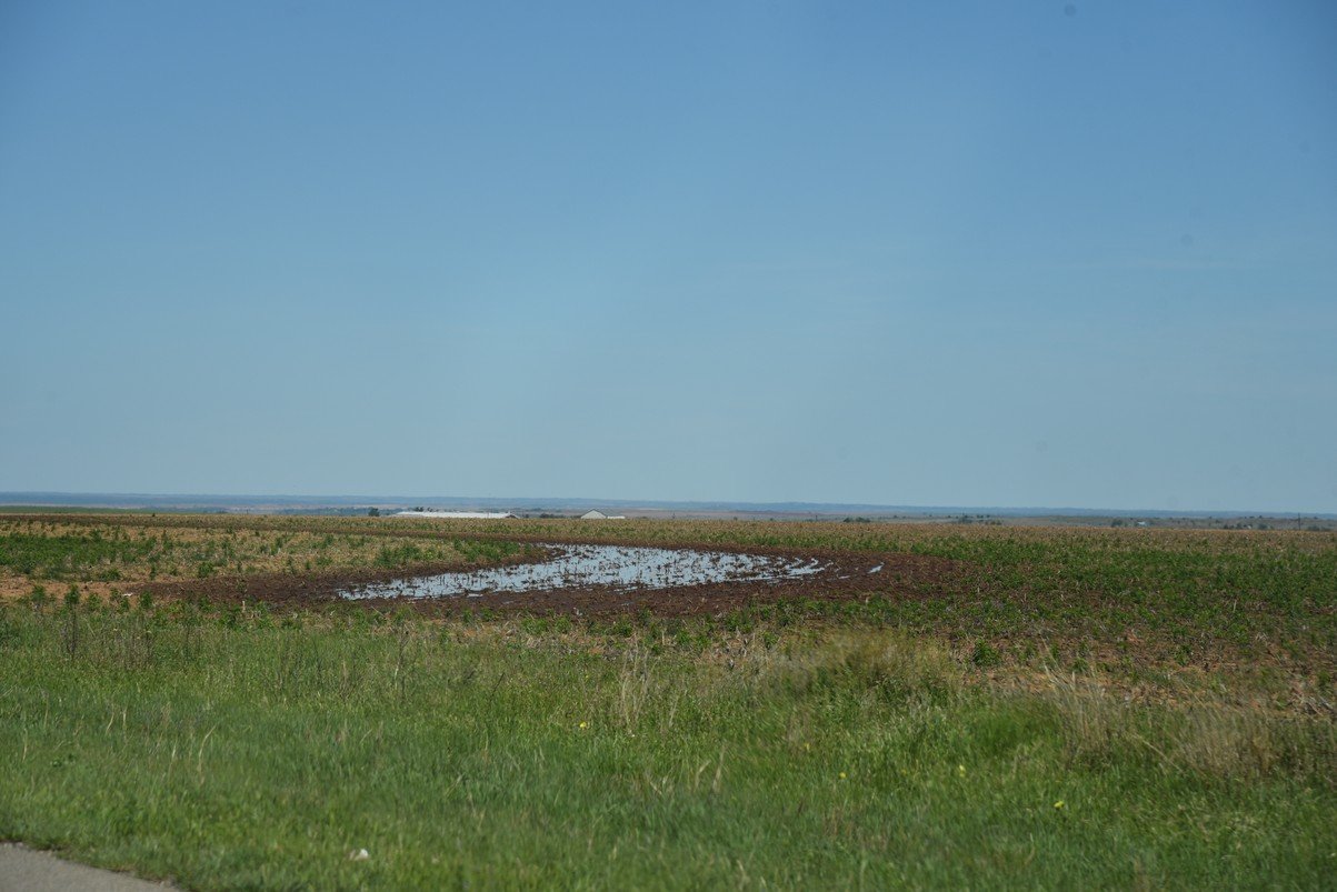 dsc_0197_fs.jpg
