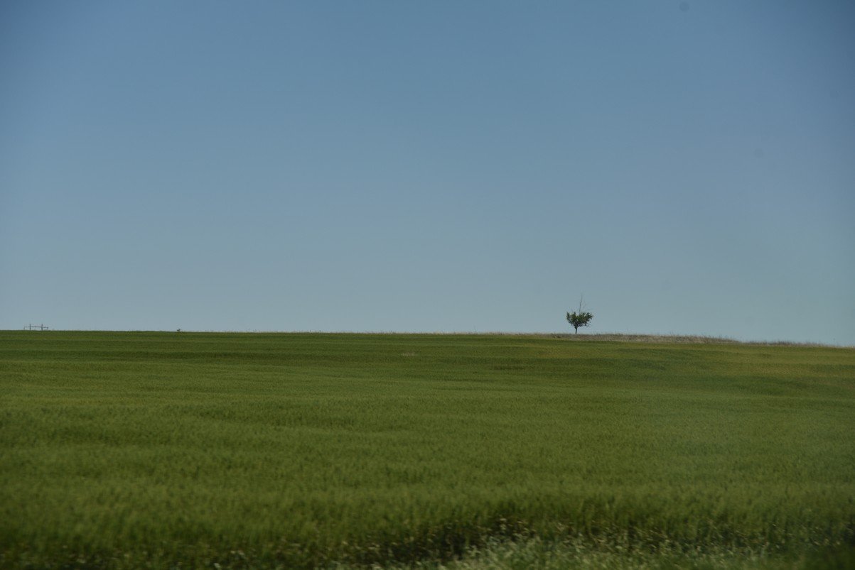 dsc_0210_fs.jpg
