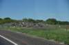 dsc_0244_fs_small.jpg