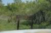 dsc_0284_fs_small.jpg
