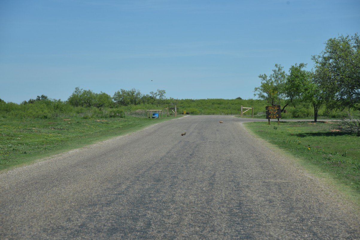 dsc_0285_fs.jpg