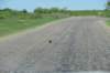 dsc_0287_fs_small.jpg