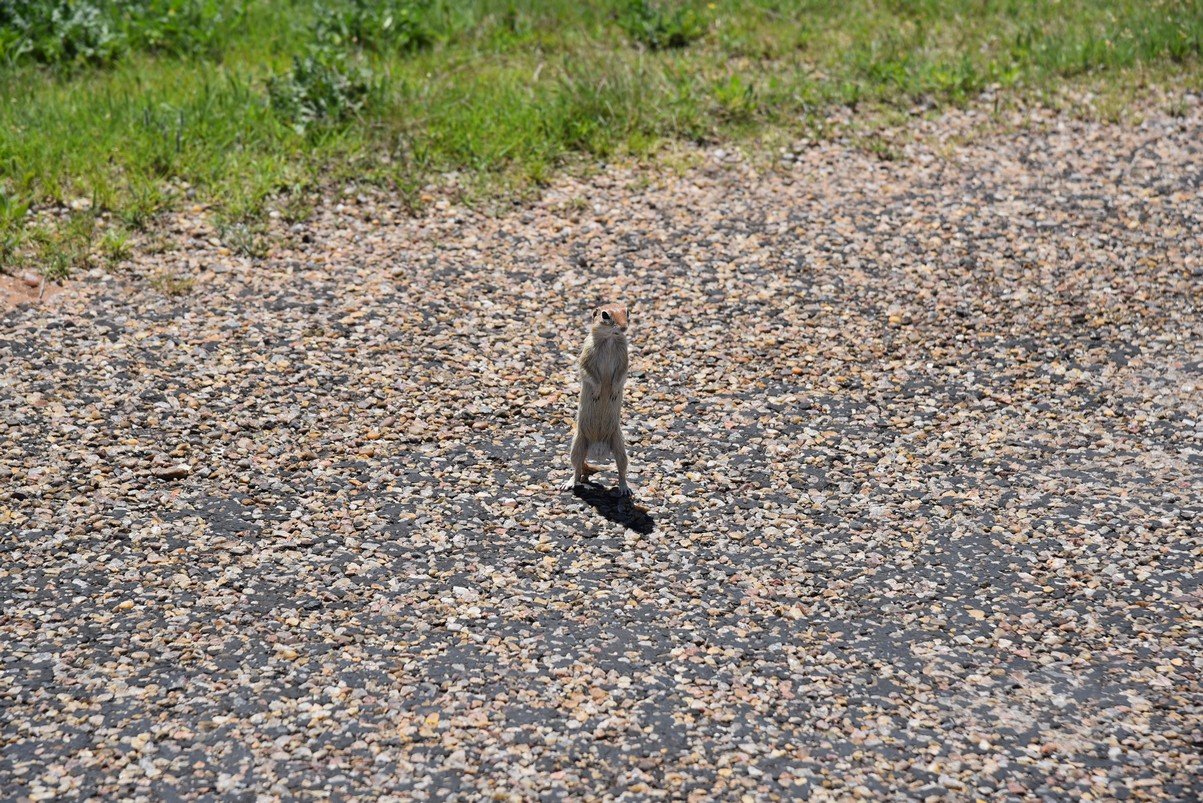dsc_0288_fs.jpg