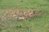 dsc_0329_fs_small.jpg