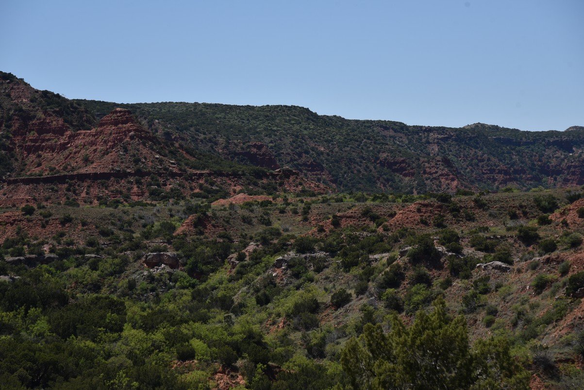 dsc_0331_fs.jpg