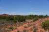 dsc_0364_fs_small.jpg