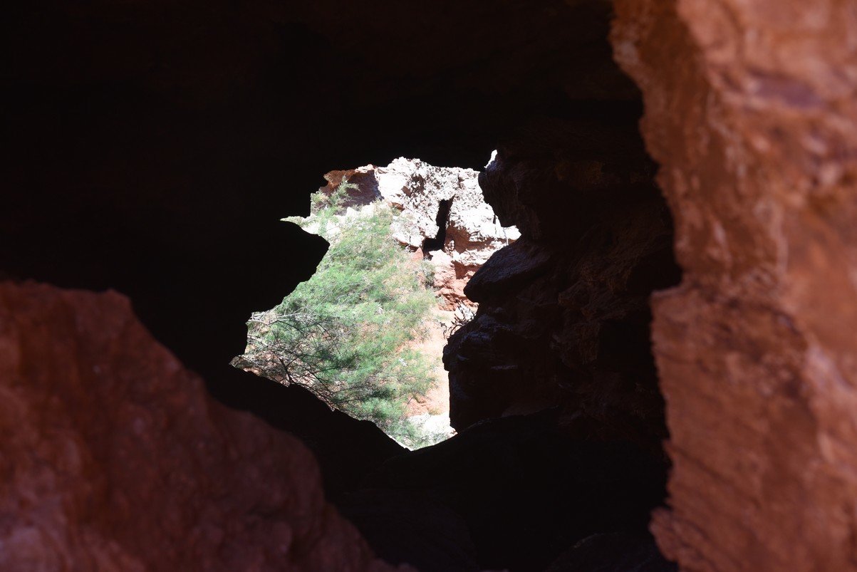 dsc_0382_fs.jpg