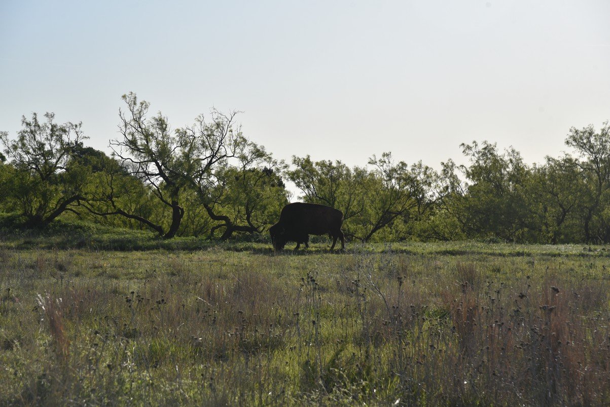 dsc_0391_fs.jpg