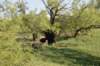 dsc_0399_fs_small.jpg