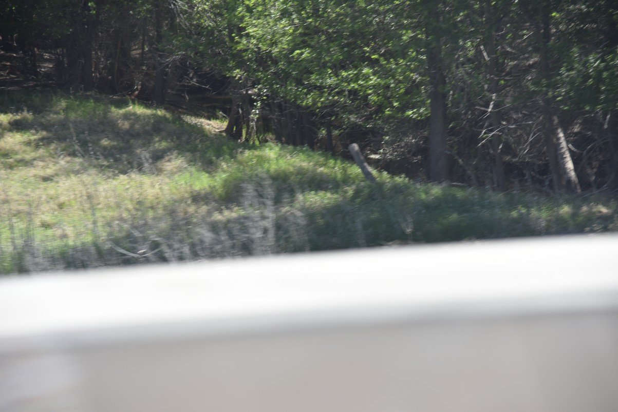 dsc_0465_fs.jpg