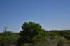 dsc_0470_fs_small.jpg