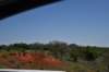 dsc_0473_fs_small.jpg