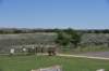 dsc_0504_fs_small.jpg