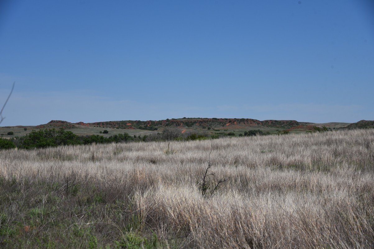 dsc_0530.jpg